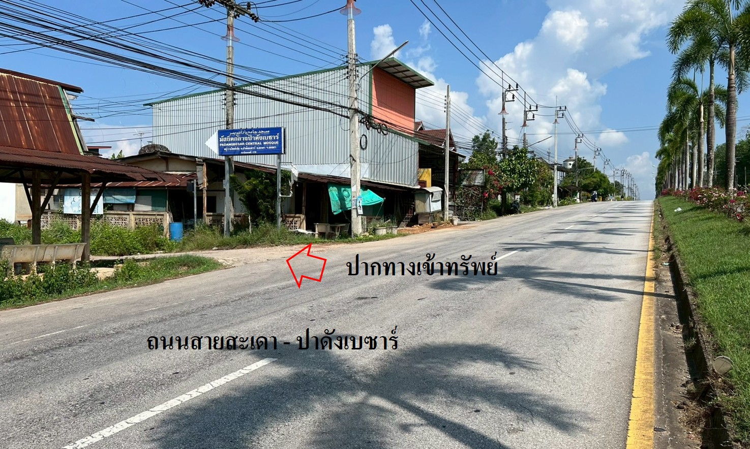 บ้านเดี่ยว   สงขลา