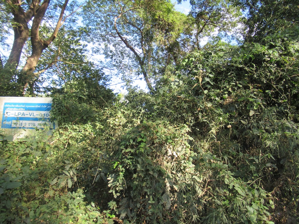 f4ab43da-IMG_0774.JPG