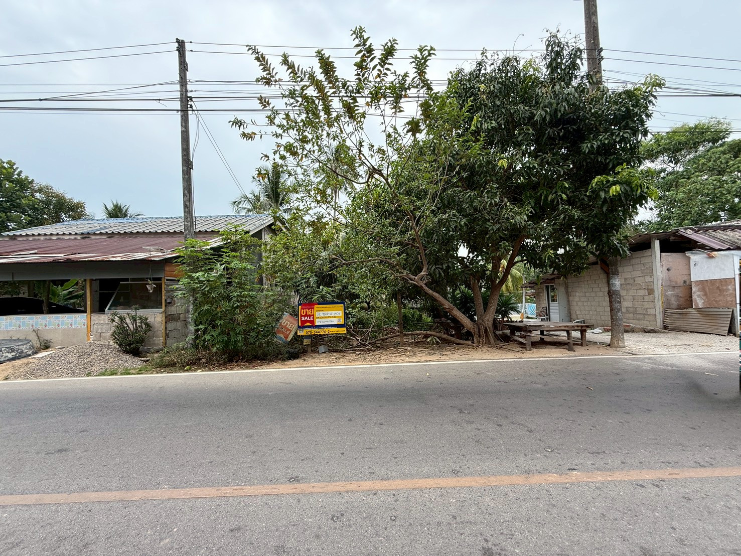 ที่ดิน   กระบี่