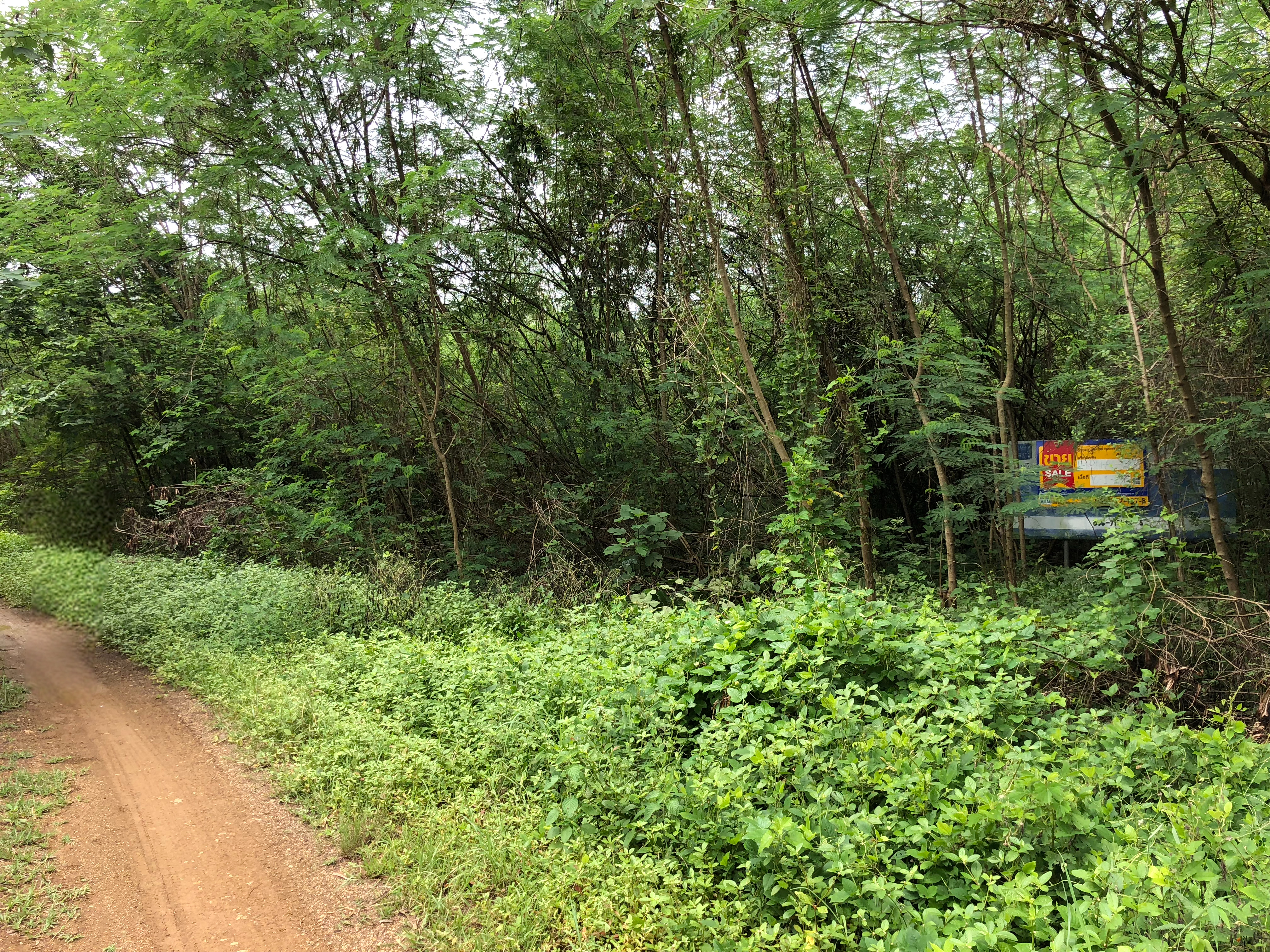 2 Plots of Vacant Land