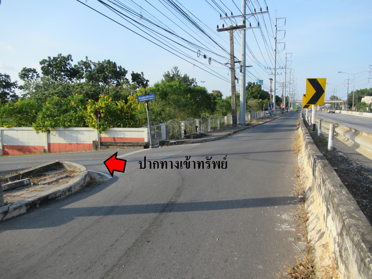 บ้านเดี่ยว   สงขลา