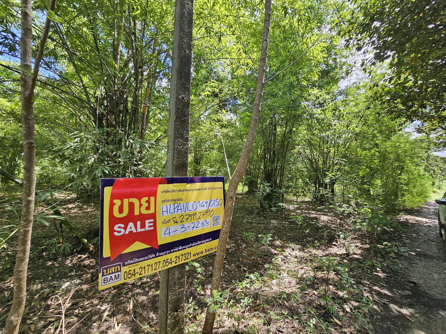 ที่ดินเปล่า โครงการล้านปางสักทอง