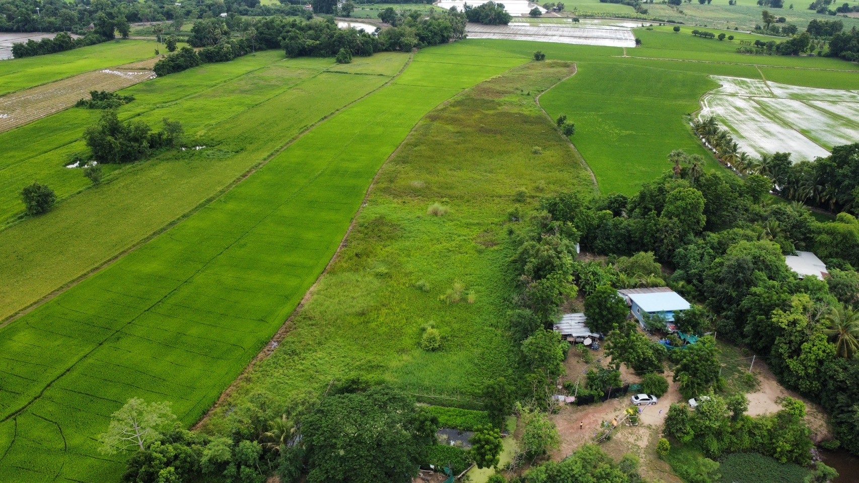 LINE_ALBUM_ที่ดินพันเสา_240614_9.jpg