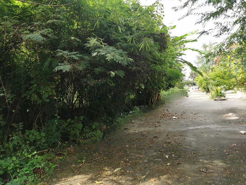 d88ee2fd-Picture2.jpg