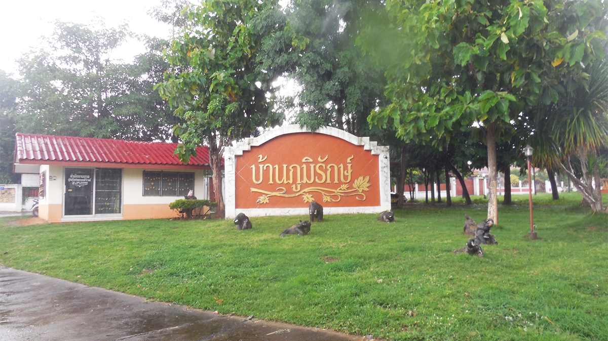 บ้านเดี่ยว   นครราชสีมา