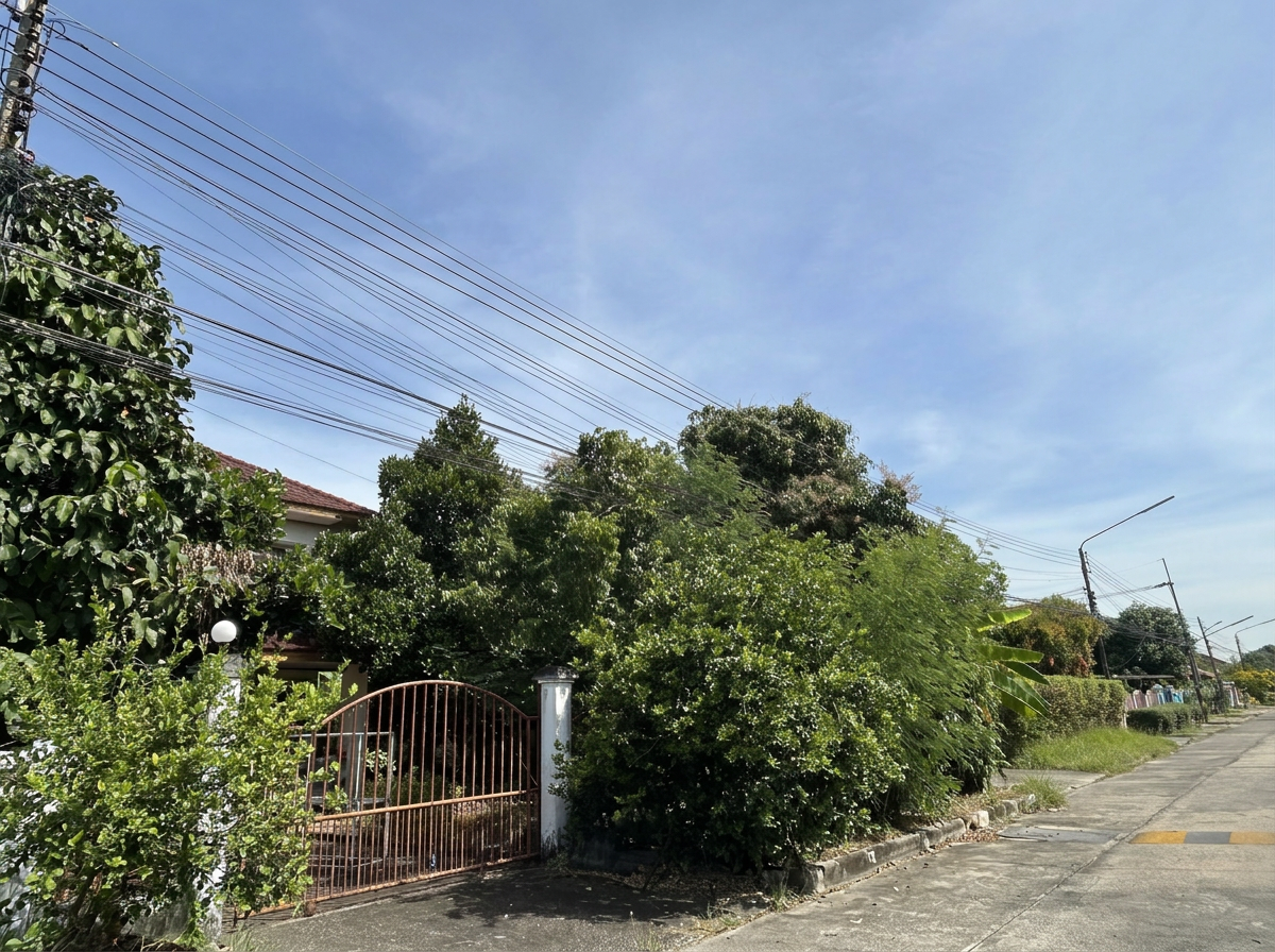 freepik__text-to-image__88194.png