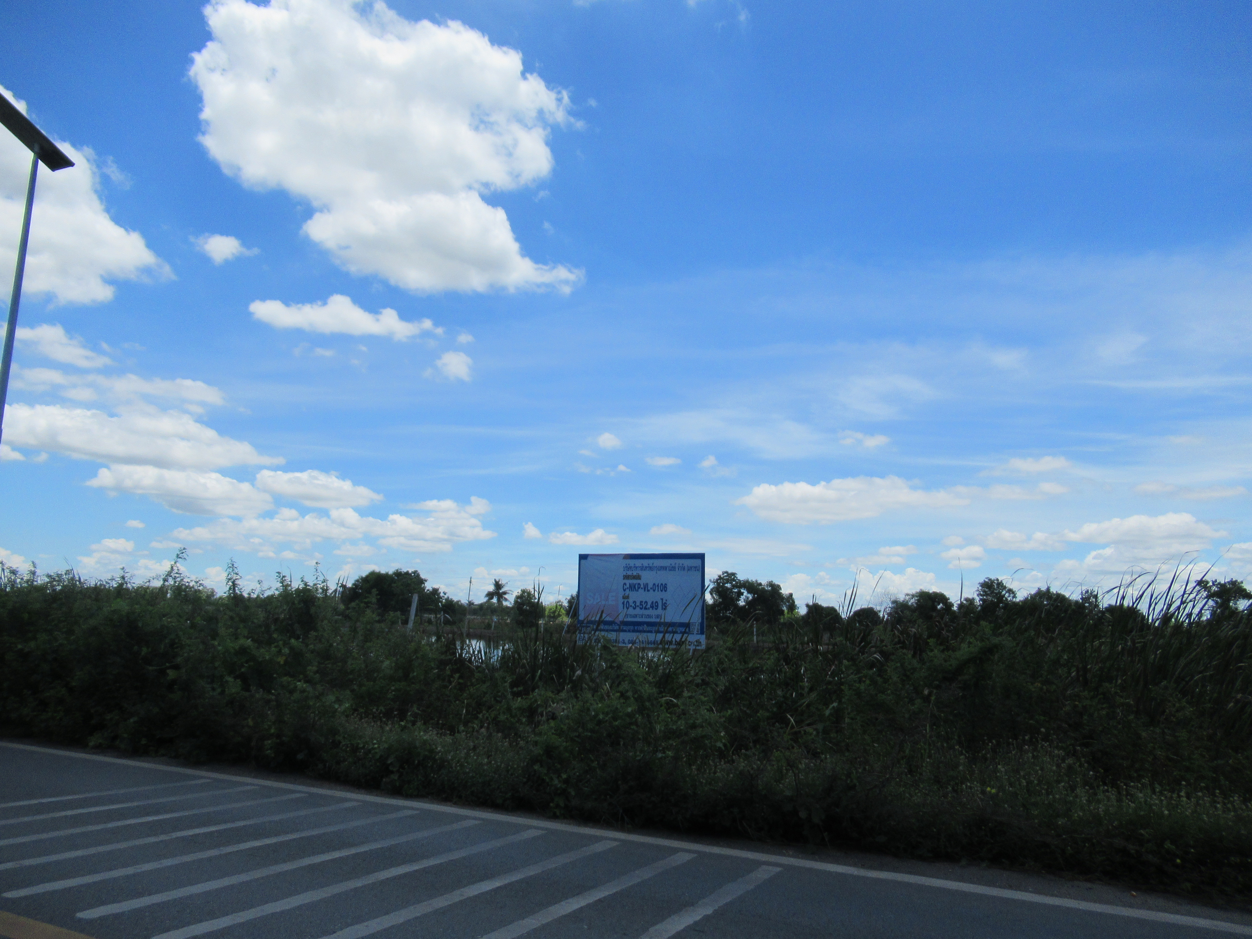 IMG_5879.JPG