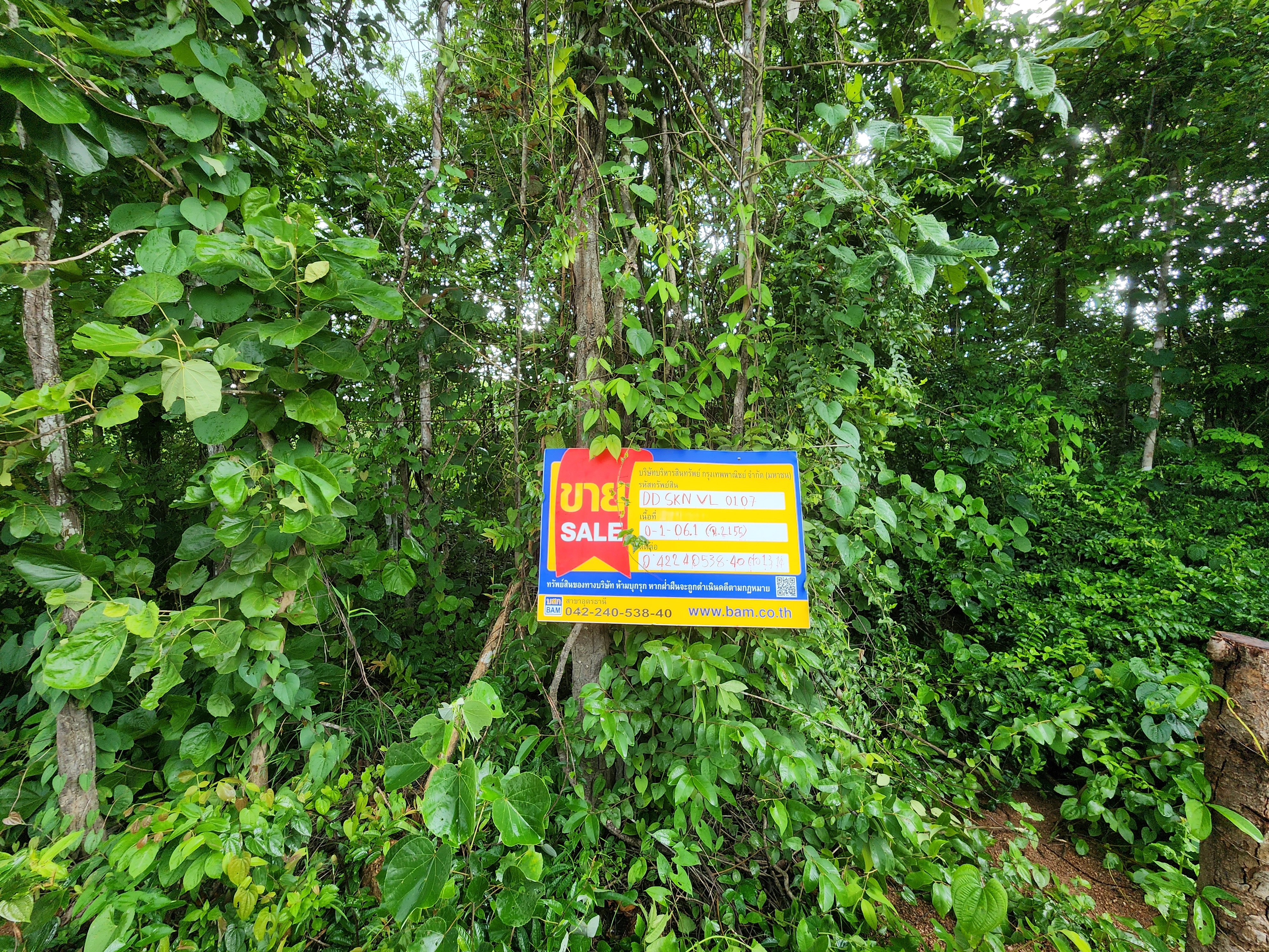 ที่ดินเปล่า วานรนิวาส สกลนคร