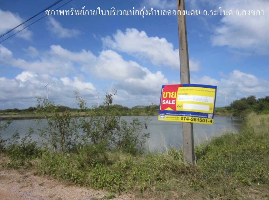 ที่ดินเปล่า โครงการบ่อกุ้ง ตำบลคลองแดน จังหวัดสงขลา
