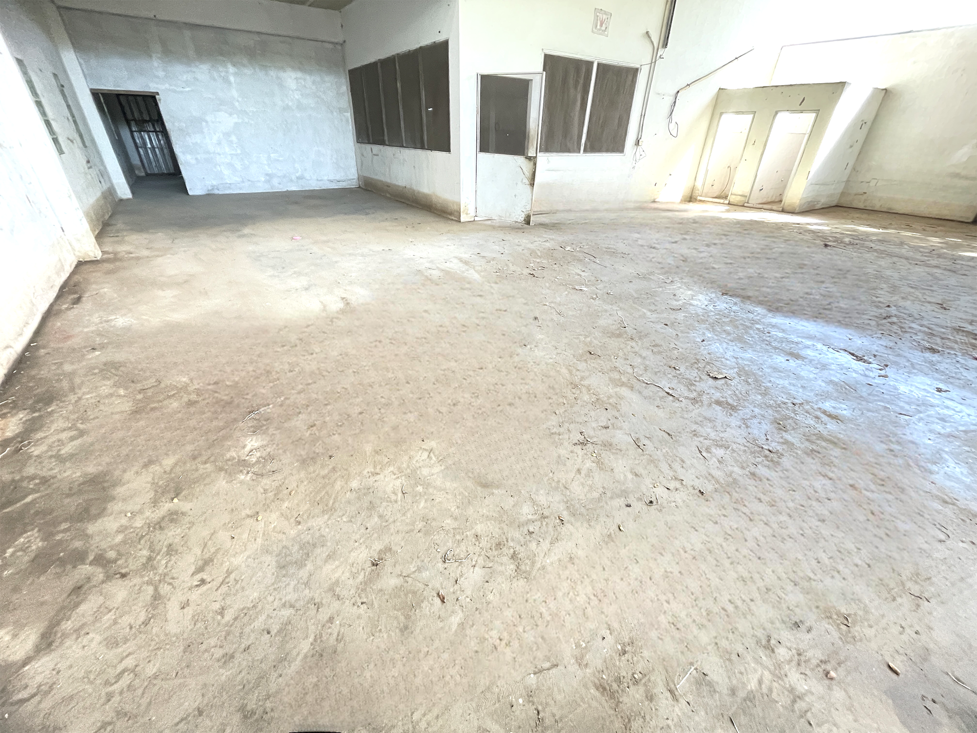 image - 2025-09-16T113844.059.png