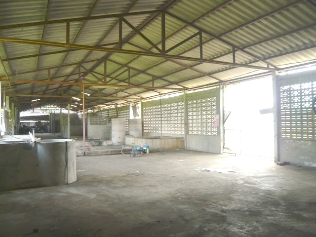 โรงงาน โครงการบ้านเวียงทองธานี เวียงป่าเป้า
