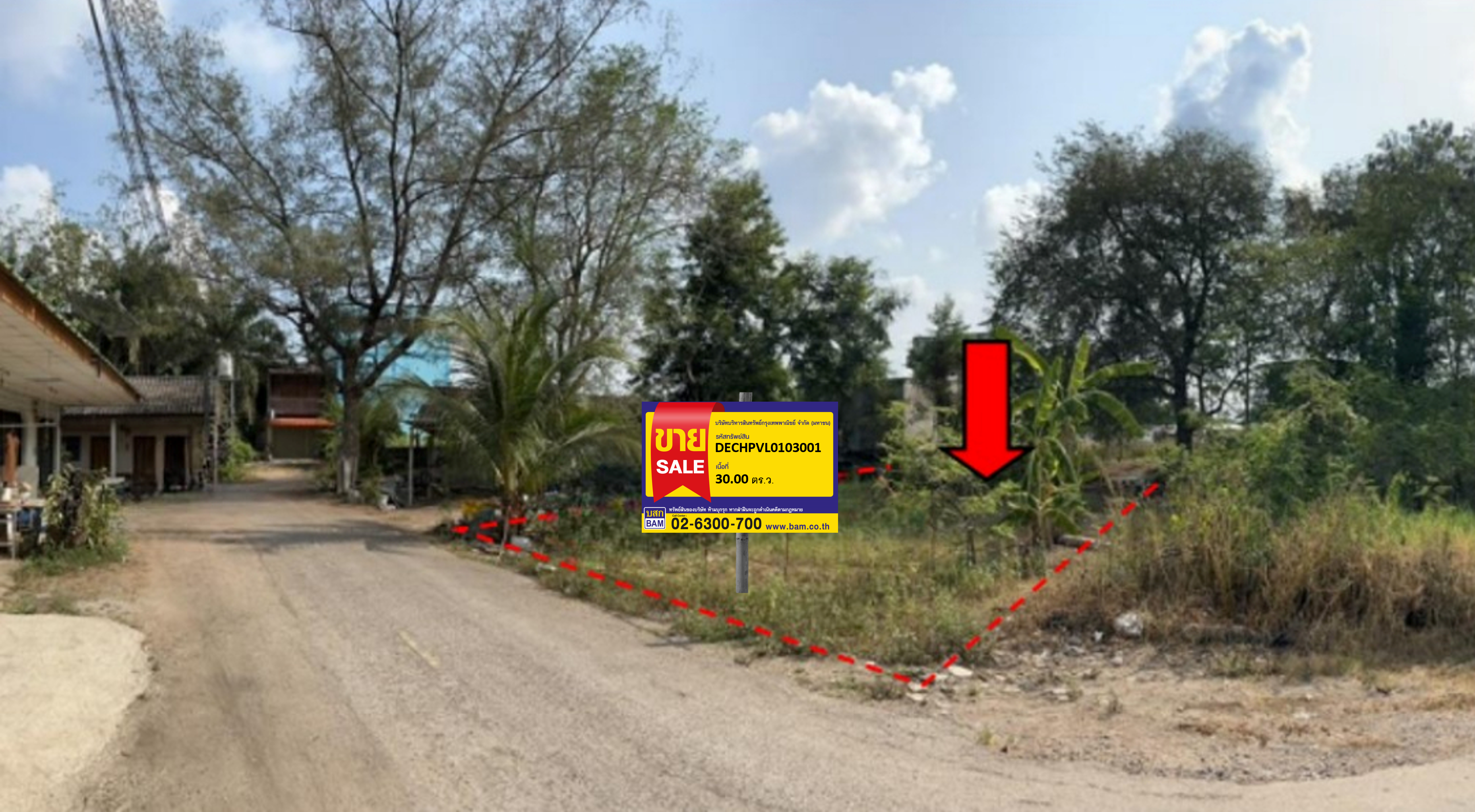 ที่ดินเปล่า จังหวัดชุมพร