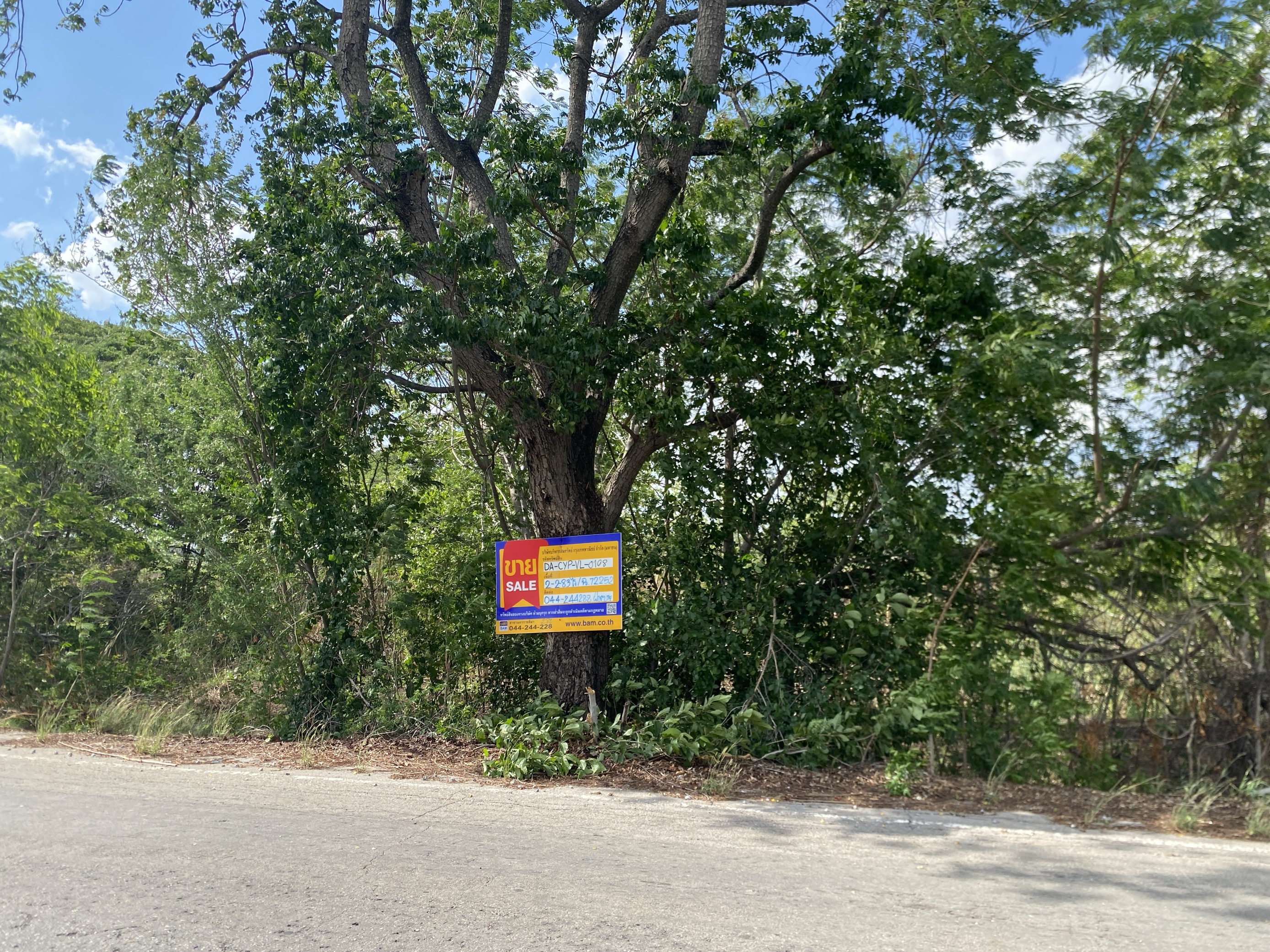 ที่ดินเปล่า จังหวัดชัยภูมิ