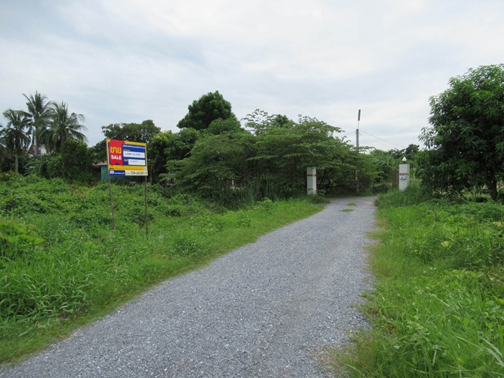e7209e57-11.jpg