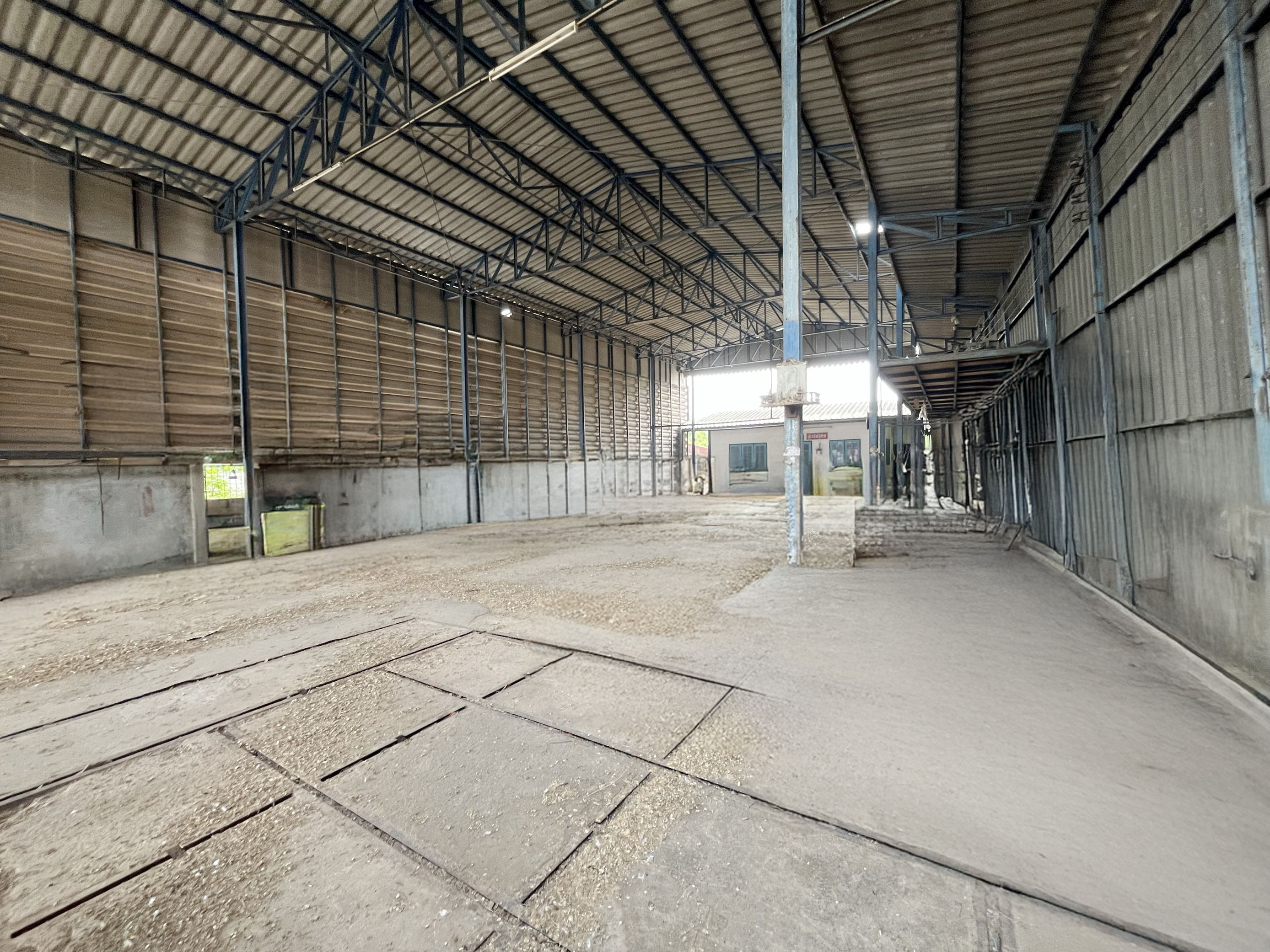 d6c038b5-142503-2.jpg