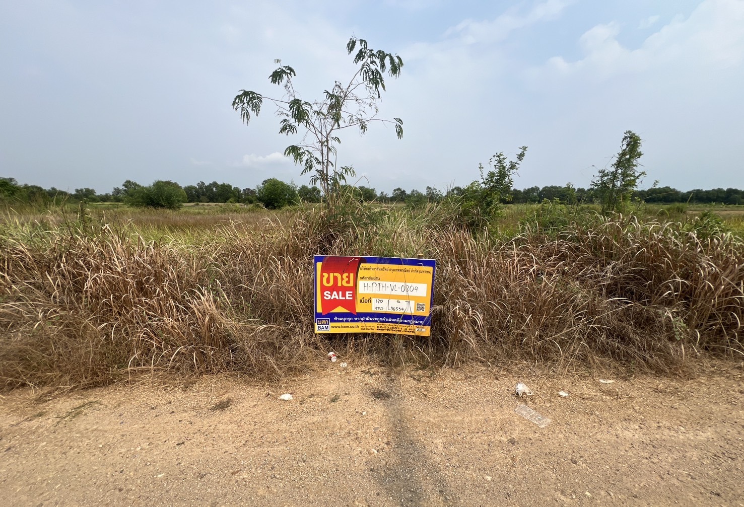 ที่ดิน บึงกาสาม หนองเสือ ปทุมธานี