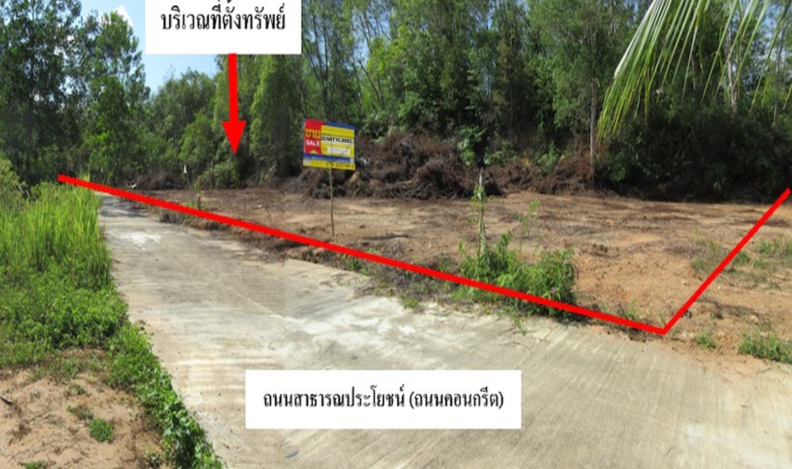 ที่ดินเปล่า นราธิวาส
