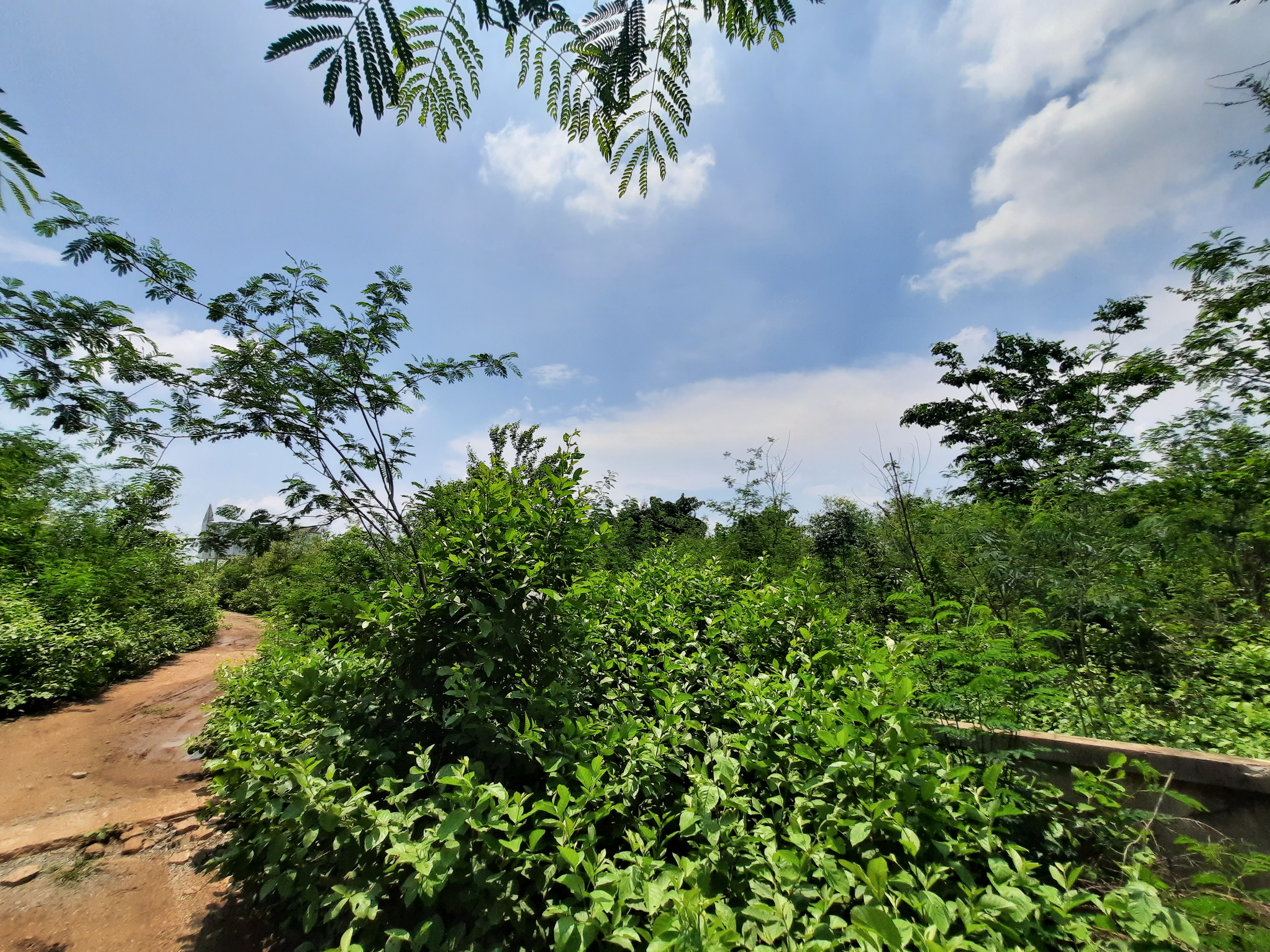 DTNONVL0100 4-68 (32).jpg