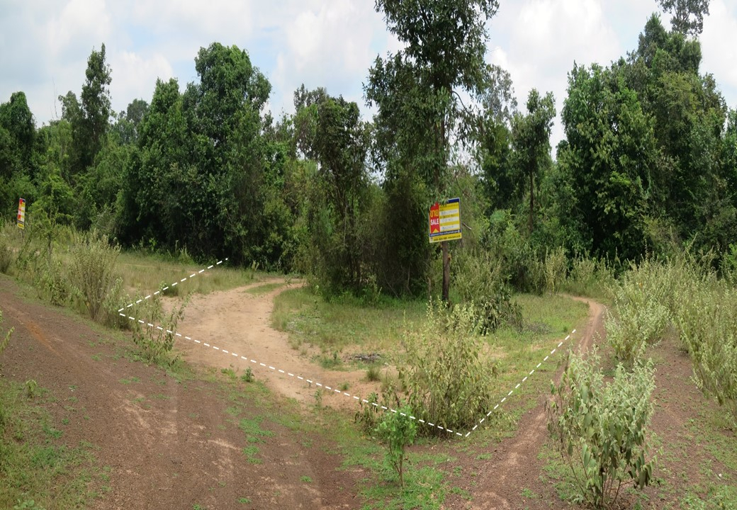ที่ดินเปล่า โครงการดงฟ้าห่วน อุบลราชธานี (Land for Sale at Dong Fah Huan Project, Ubon Ratchathani)