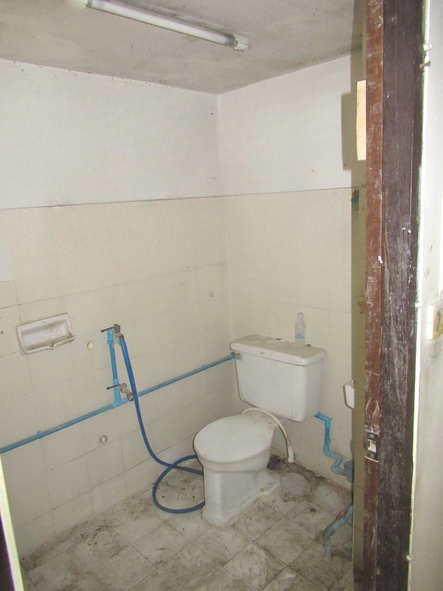 image (11).png