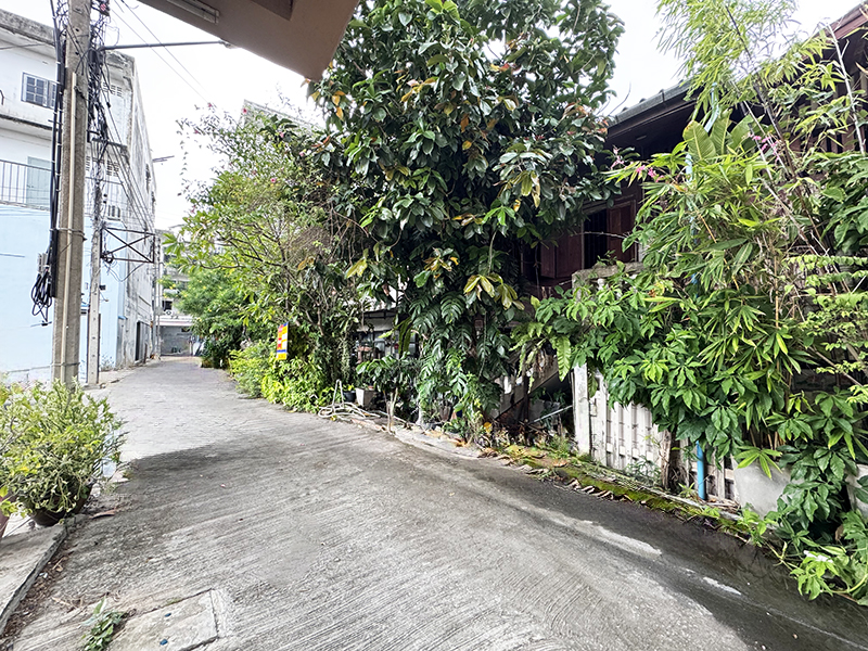 d53116e7-37400-3.jpg