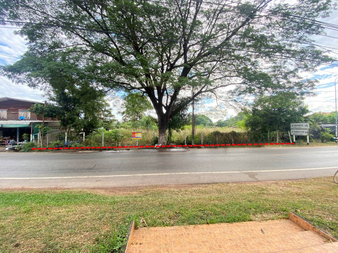 ที่ดินเปล่า นครพนม