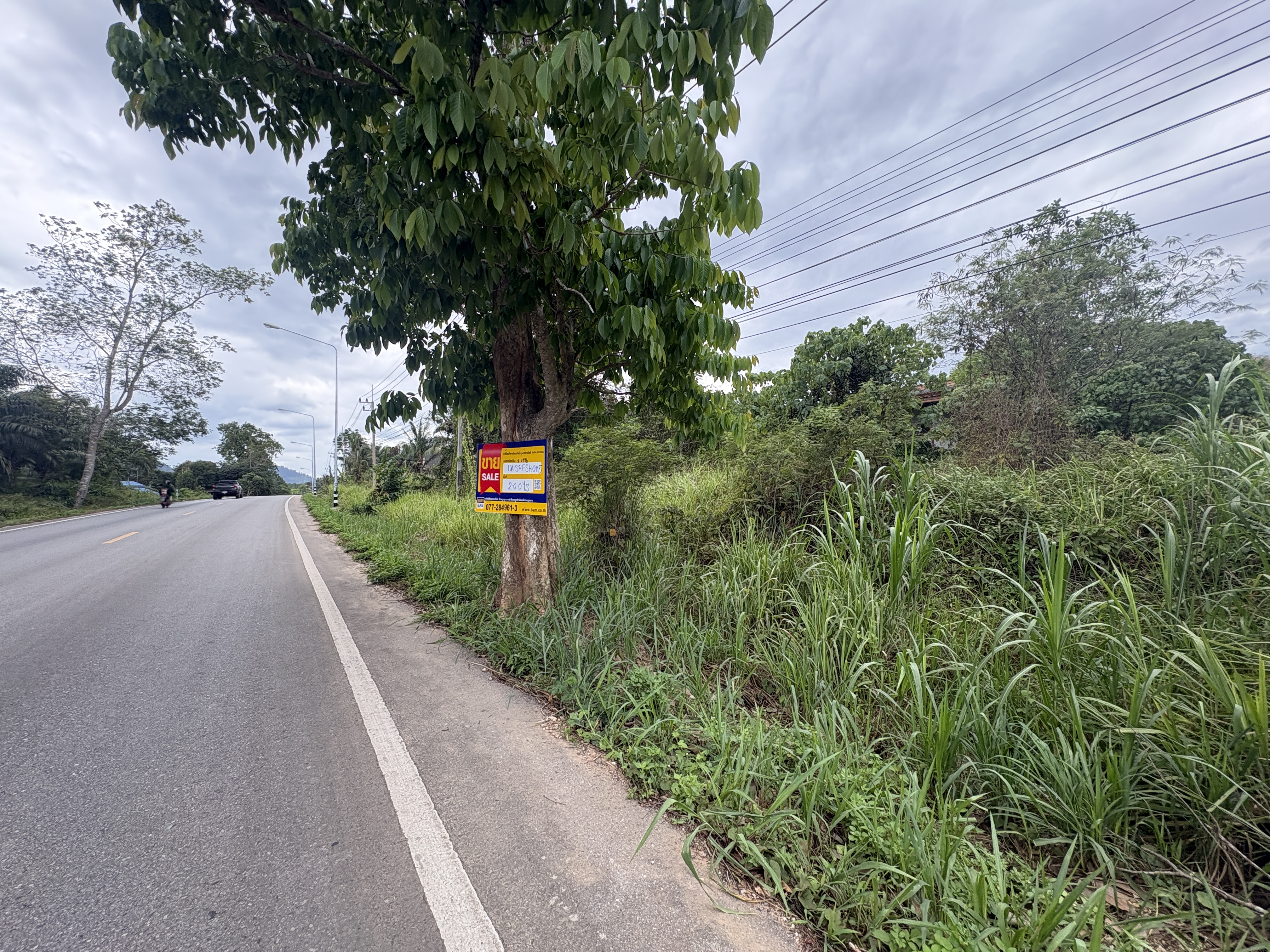 บ้านเดี่ยว   สุราษฎร์ธานี
