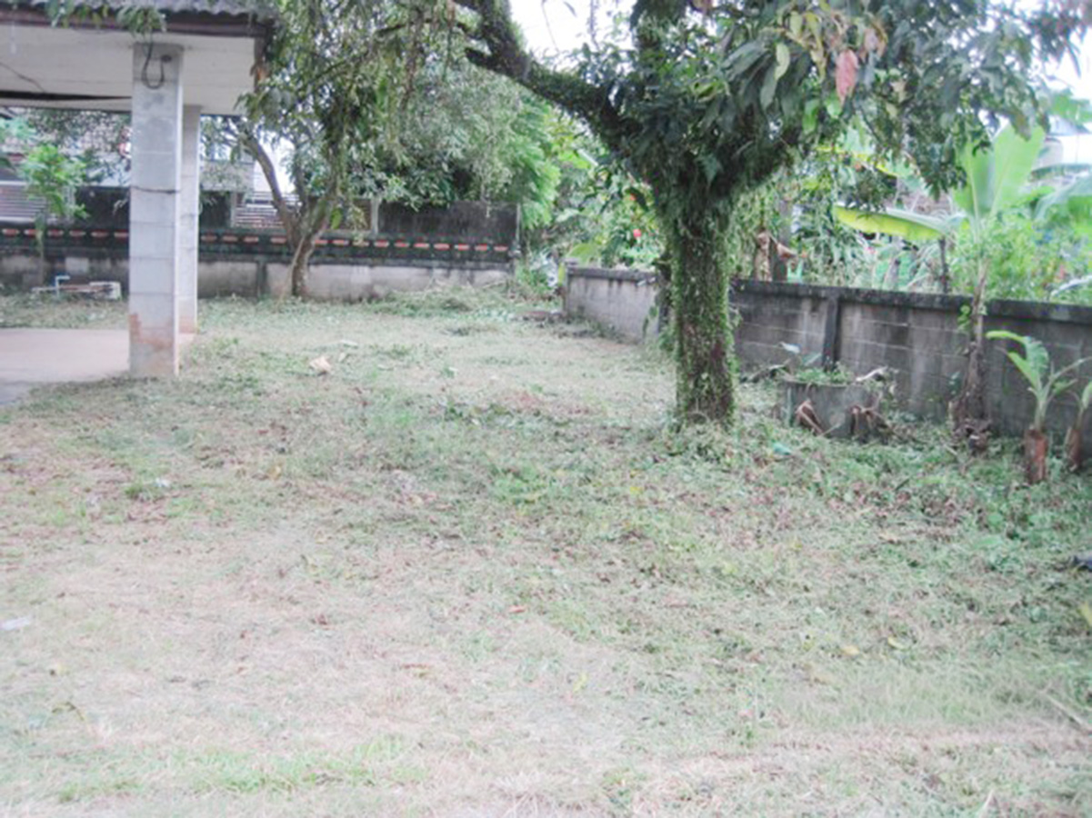 0635d305-α╕úα╕╣α╕¢α╕áα╕▓α╕₧ 1.jpg