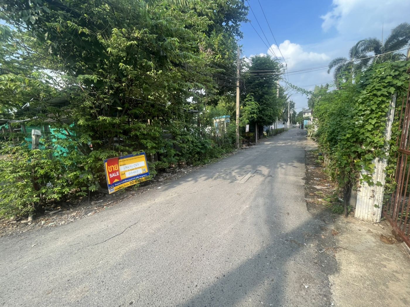 7b0a988d-135702-4.jpg