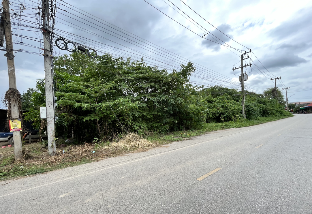 image (782).png