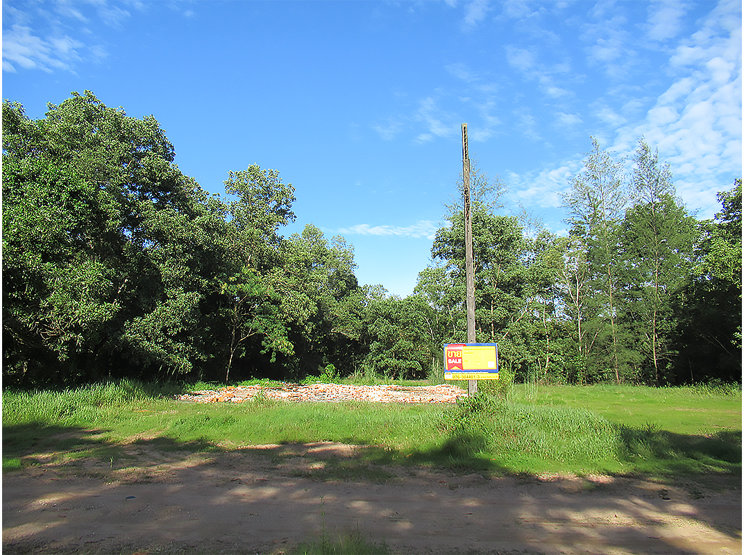 ที่ดินเปล่า ตะกั่วป่า