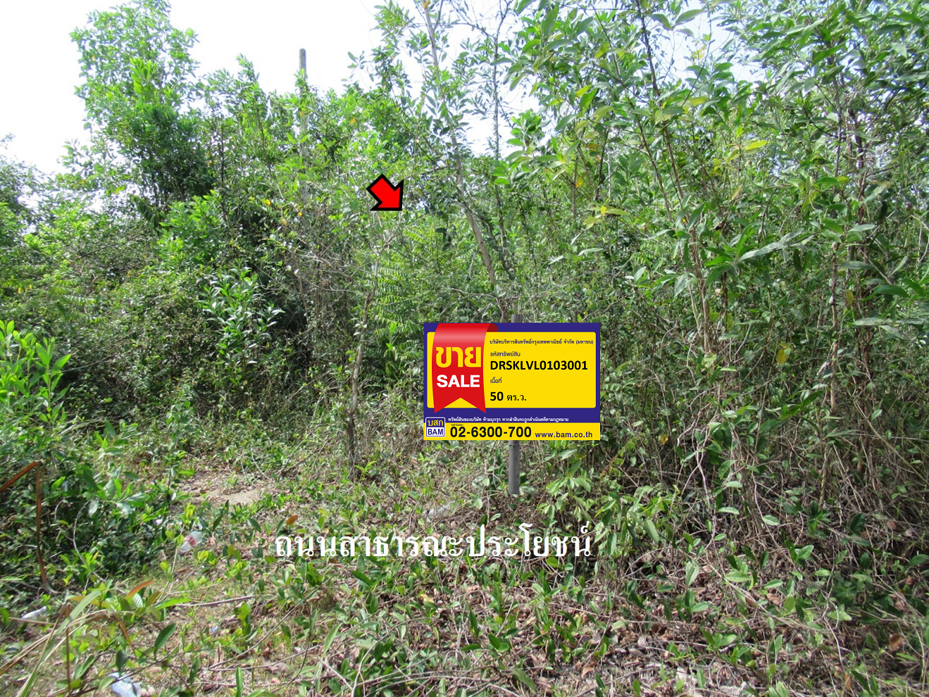 ที่ดิน   สงขลา