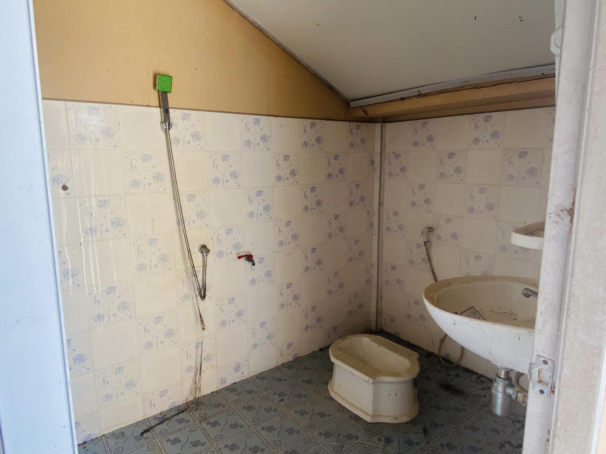 64.jpg