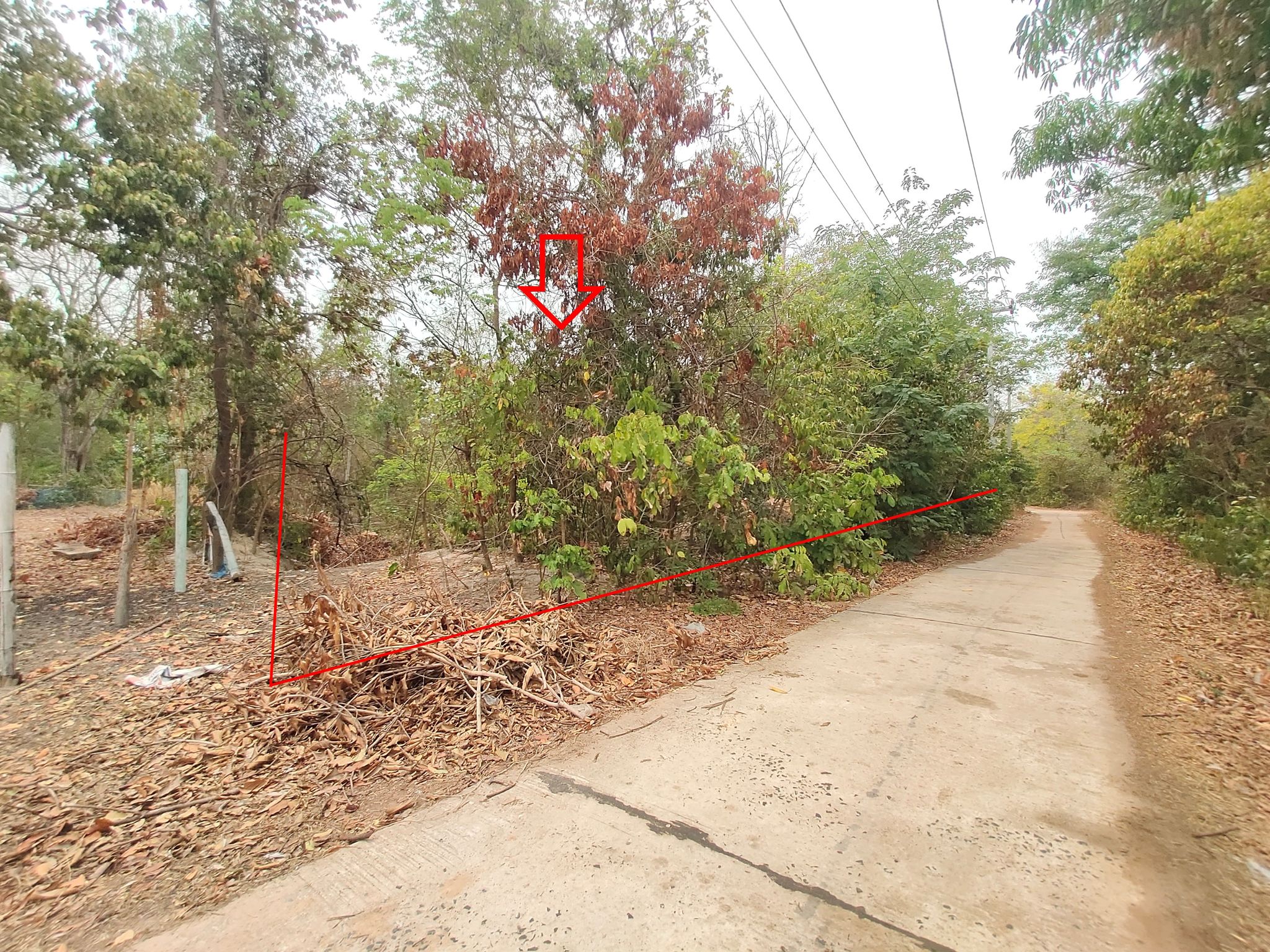 Picture10.jpg