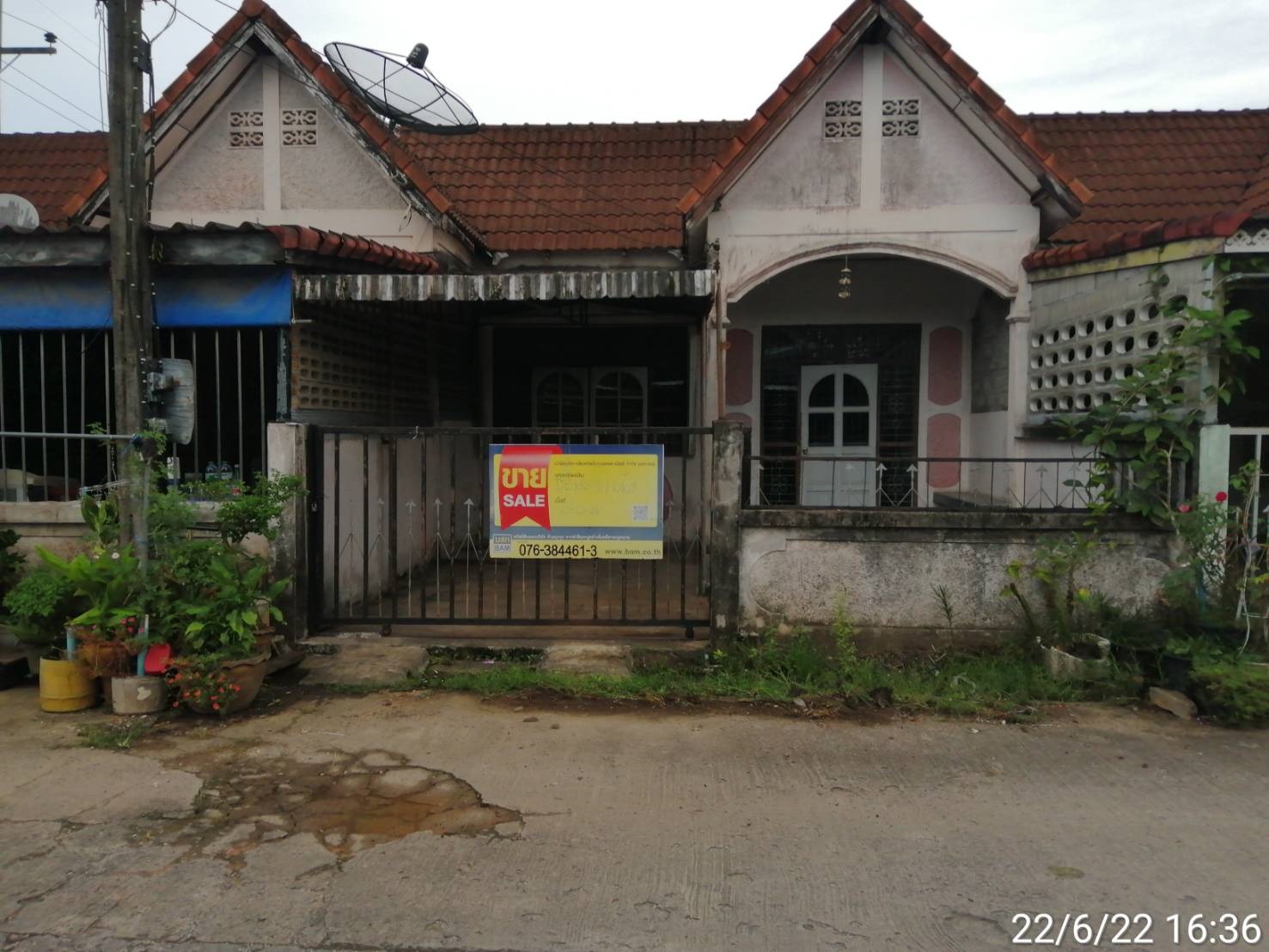 DEDE.jpg