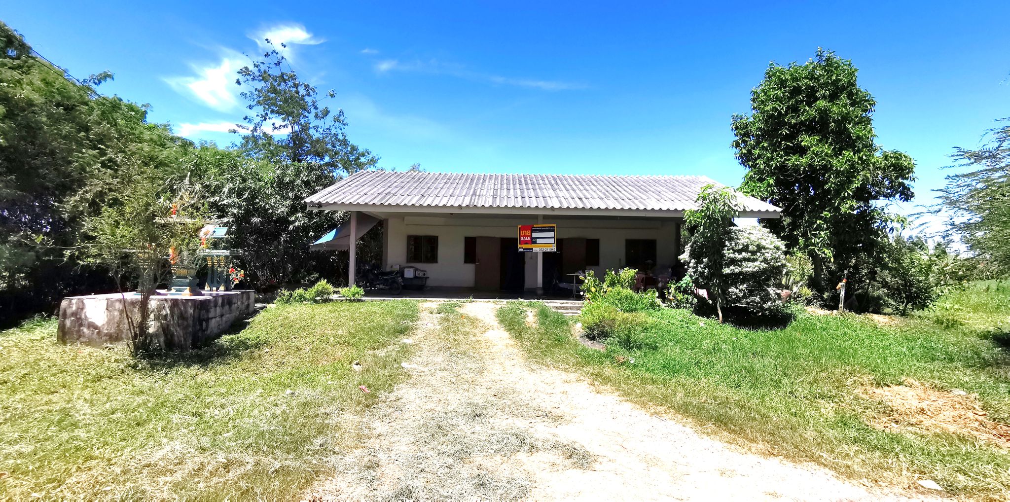 Picture5.jpg