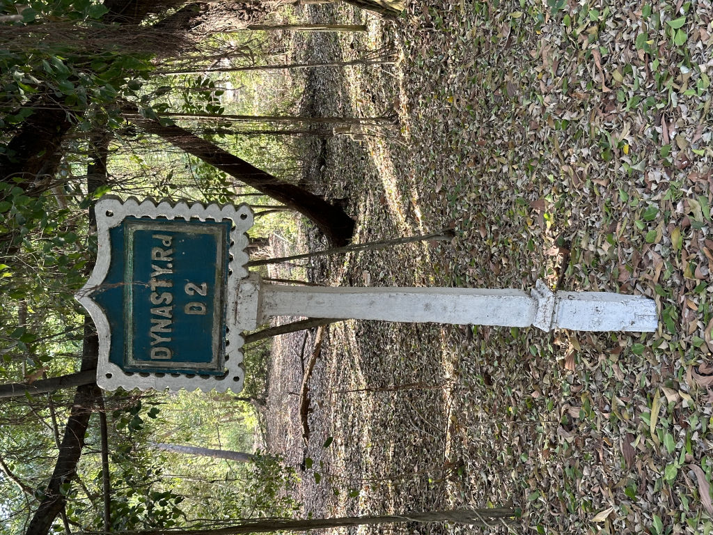 IMG_9650.JPG