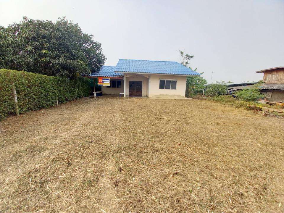 ff19ec7b-1679968880593.jpg