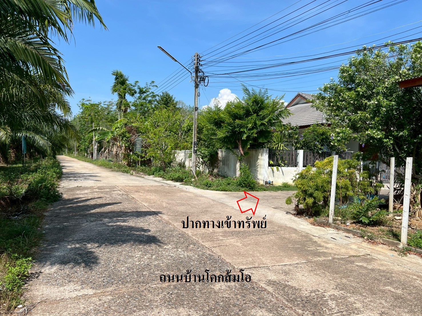 รูภ3.jpg