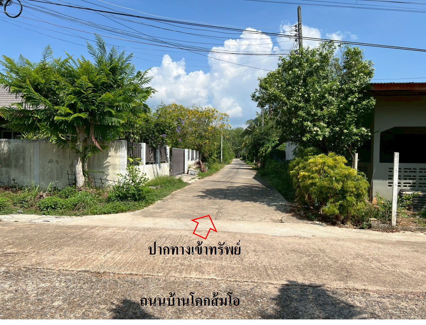 รูภ4.jpg