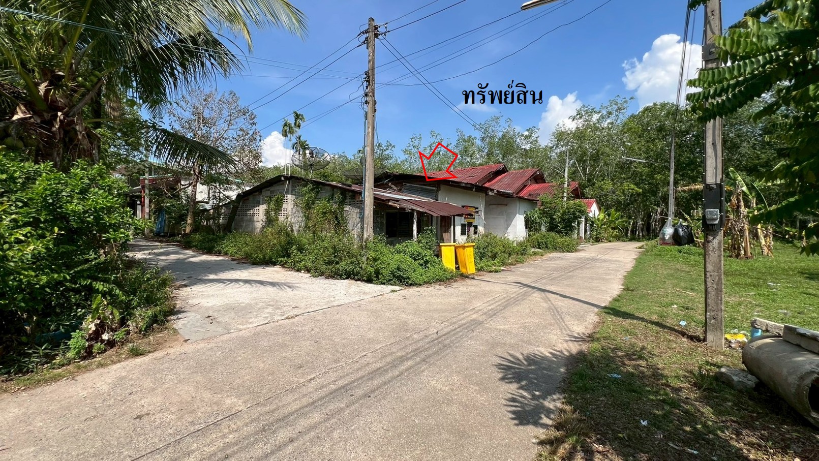 รูภ6.jpg