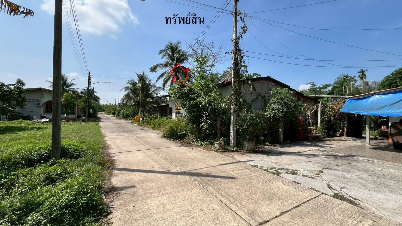 รูภ7.jpg