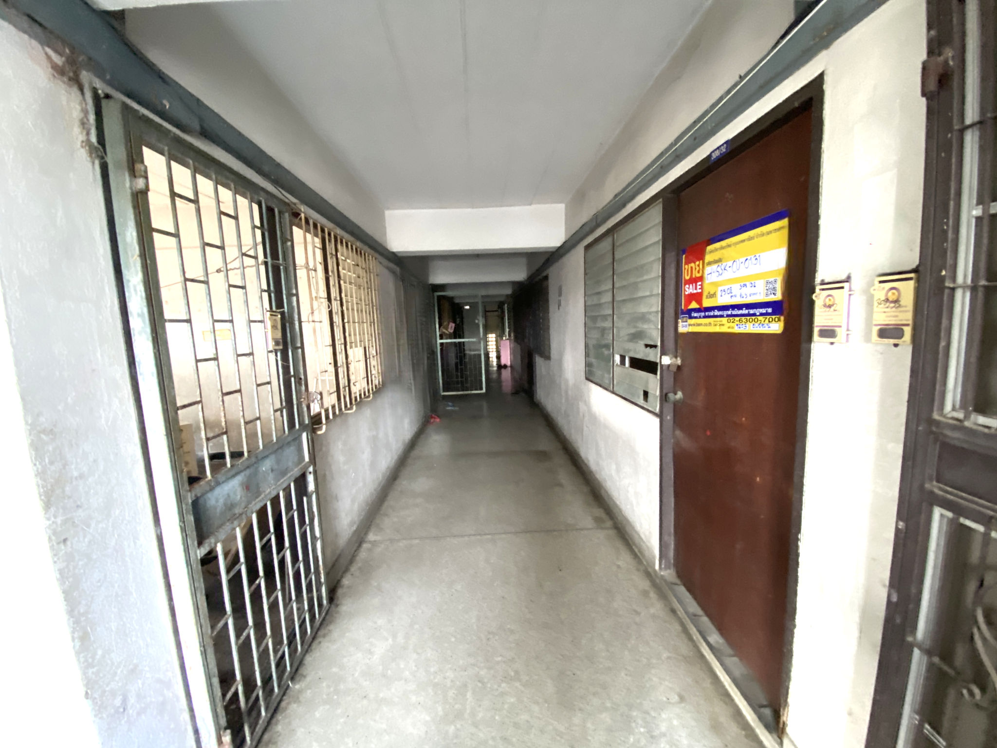 image (11).png