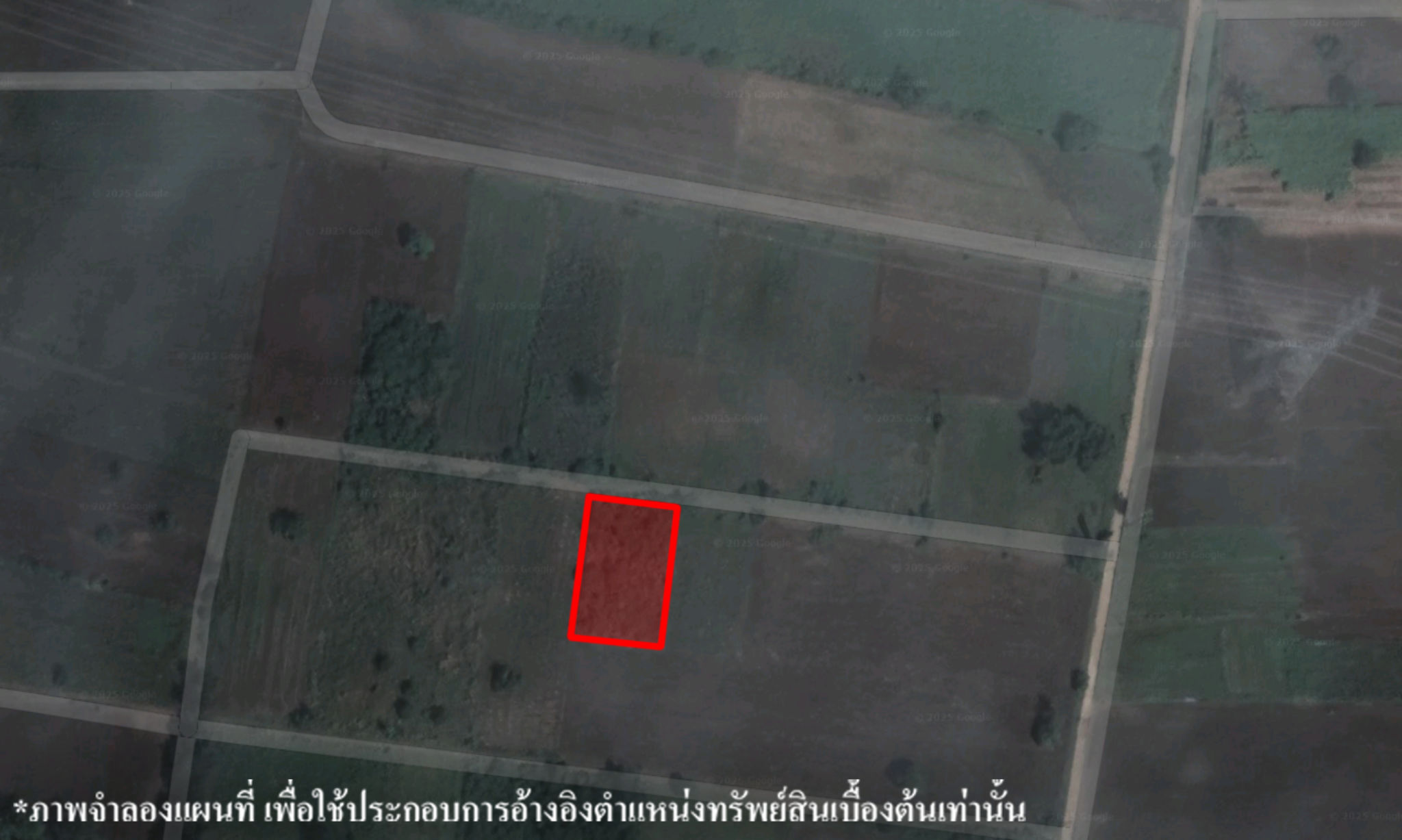 image (397).png