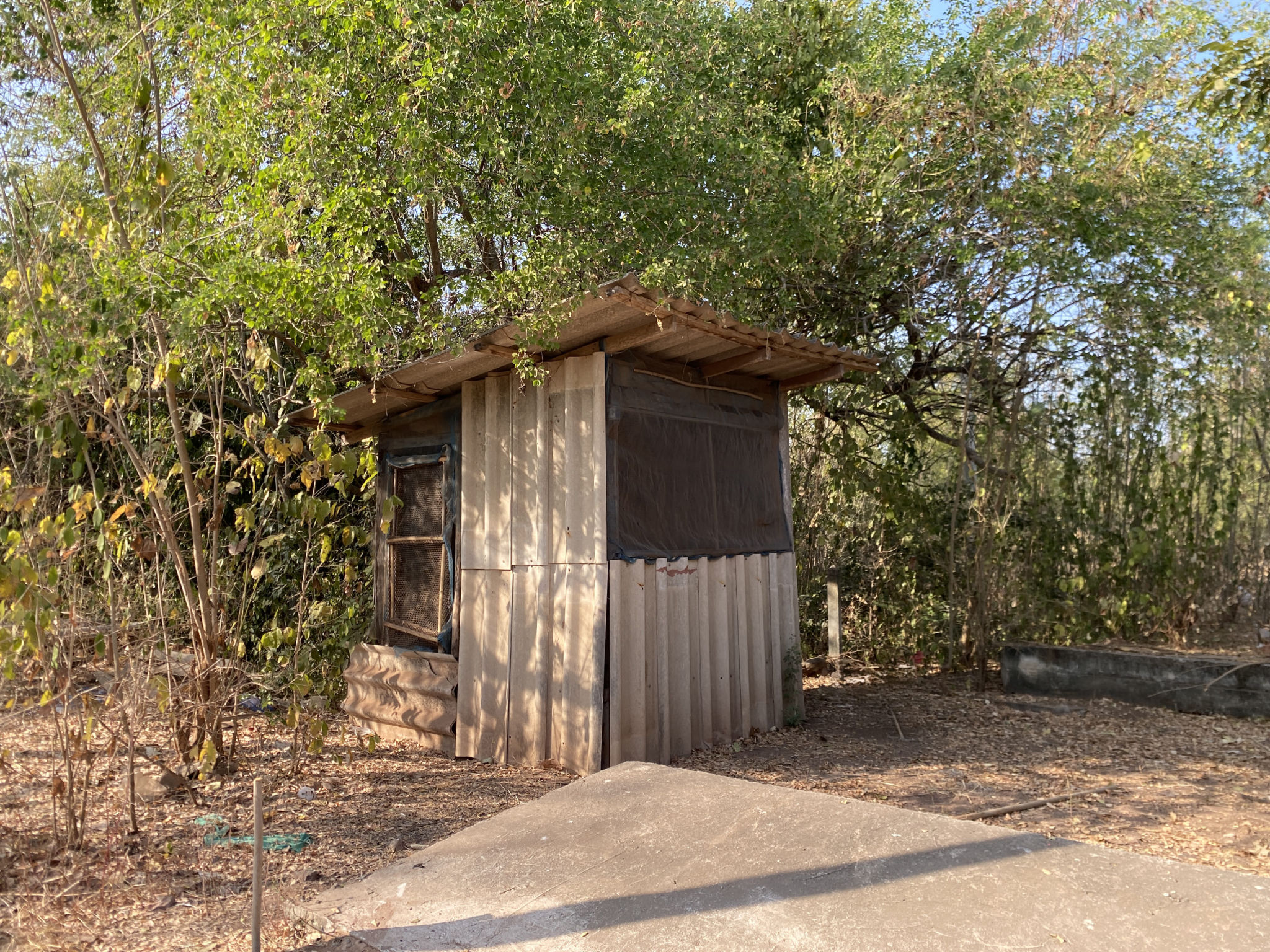 e0e89f82-132660-1.jpg