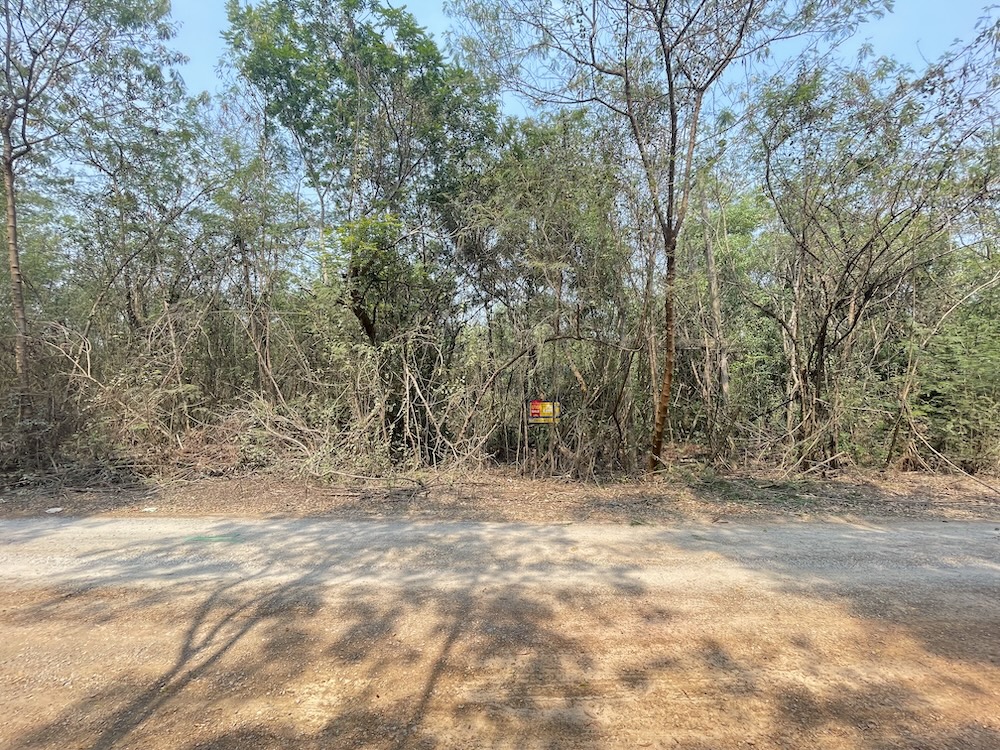 94949798-IMG_8905.JPG