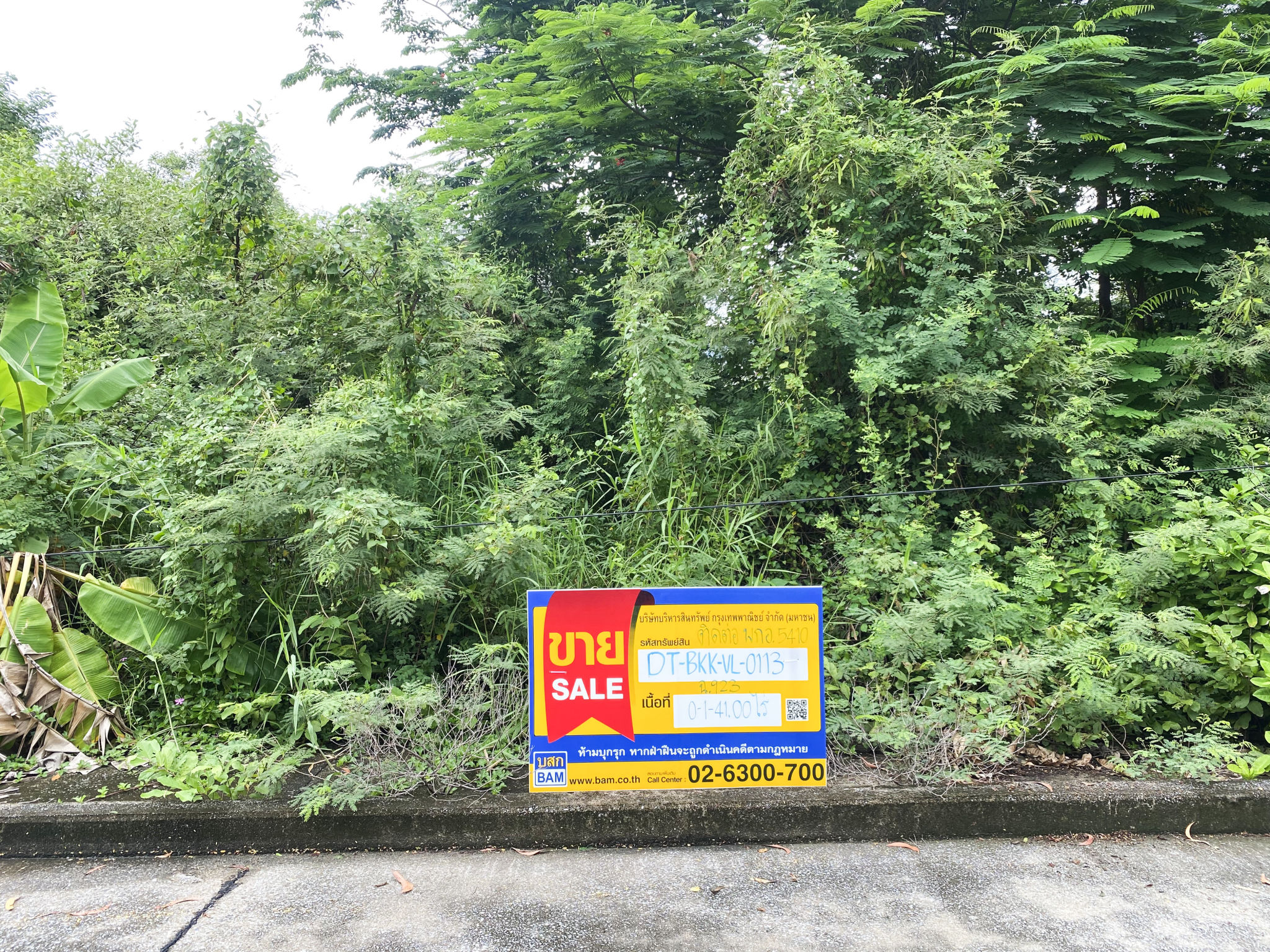 eb3a59b9-143503-1.jpg