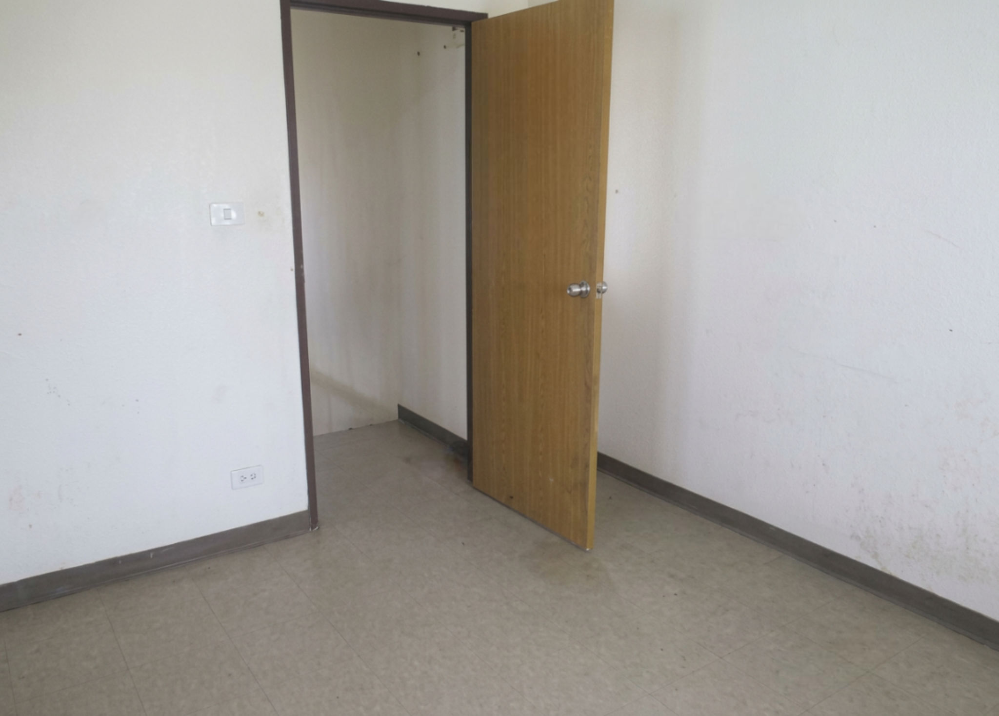 freepik_2738558523 (1).png