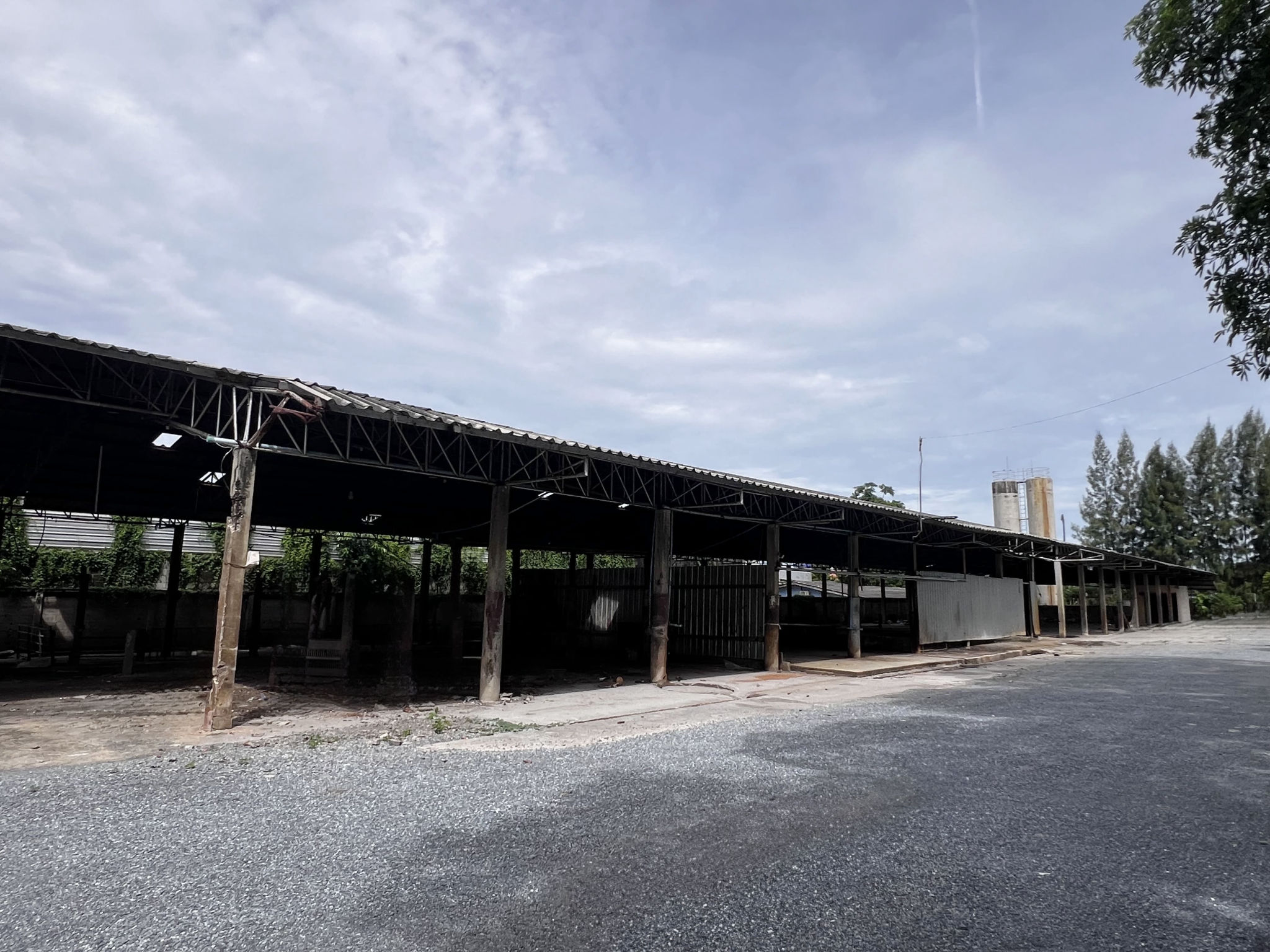 64cf39e0-138999-0.jpg