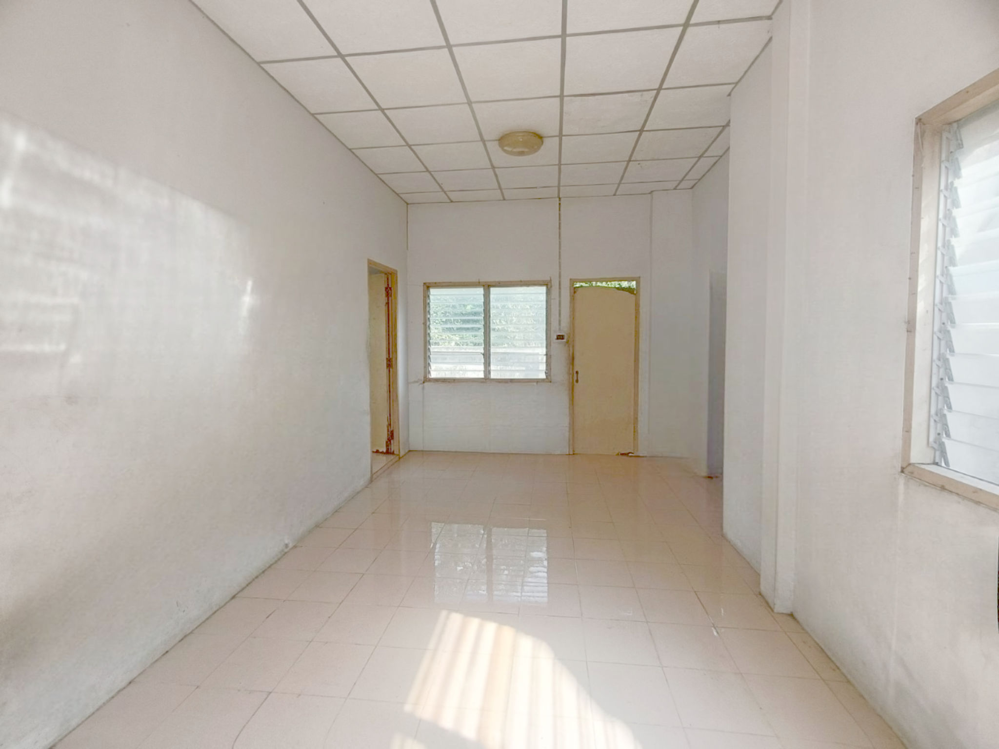 image (20).png